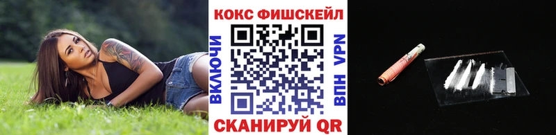 Cocaine Fish Scale blacksprut ссылка Железноводск