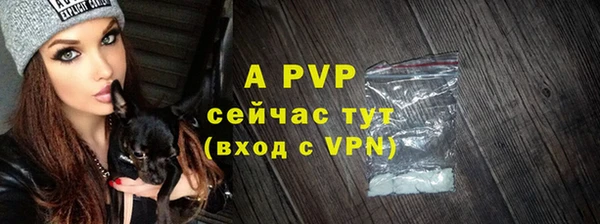 мяу мяу мука Михайлов