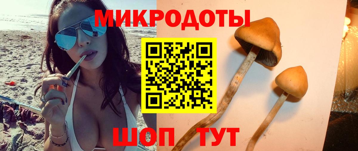 Псилоцибиновые грибы Psilocybe  Вход с VPN  Железноводск 